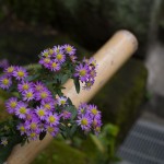 imgp9228
