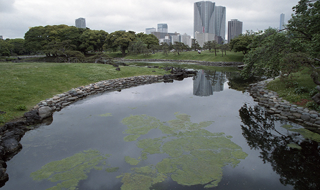 hamarikyu-12.jpg