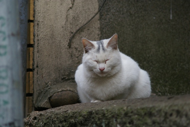 imgp1160.jpg