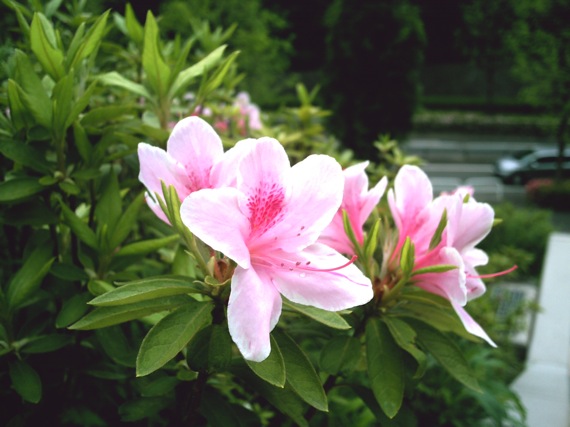 pict0001.jpg