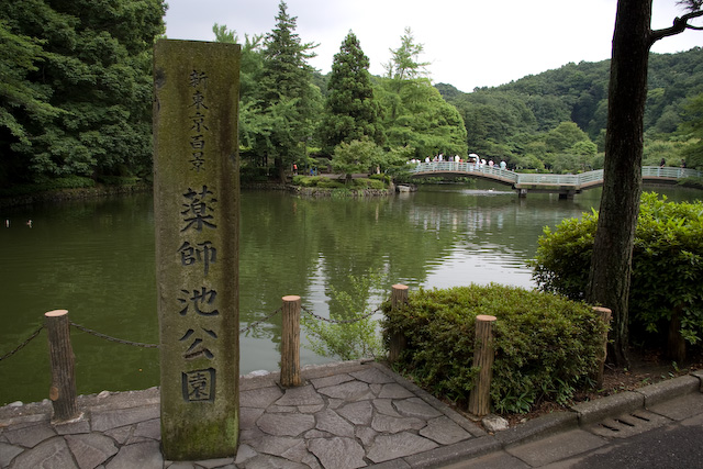 imgp6624.jpg