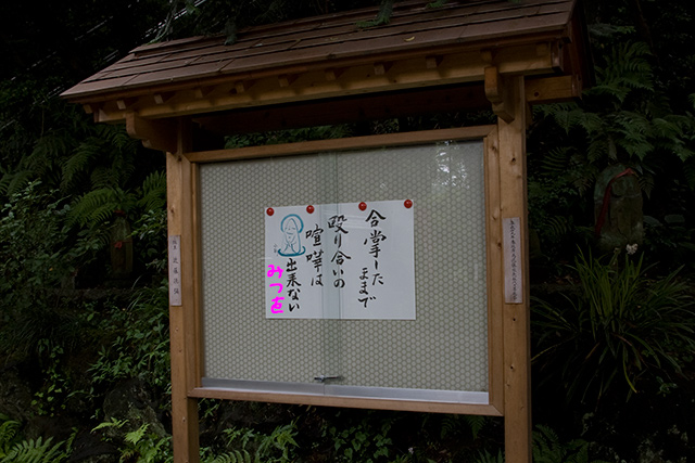 imgp6824.jpg