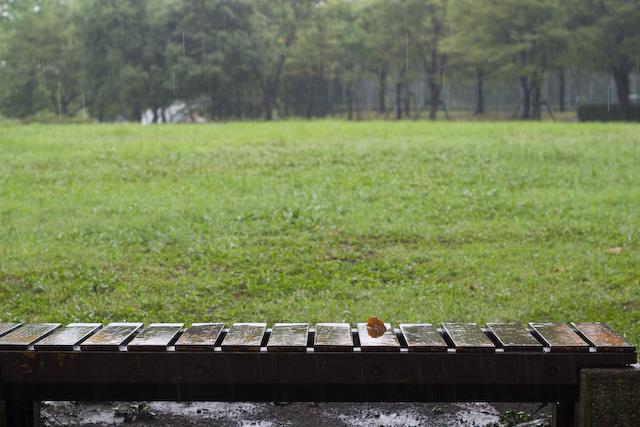 雨の日にお散歩。