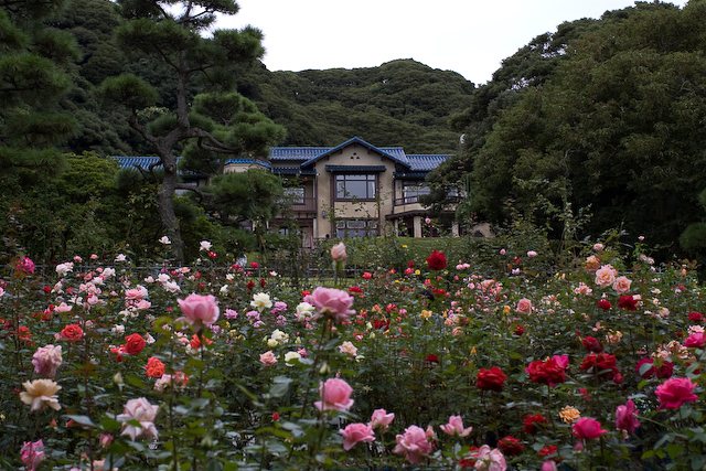 鎌倉文学館。