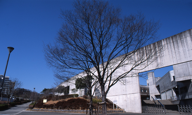 城山小学校