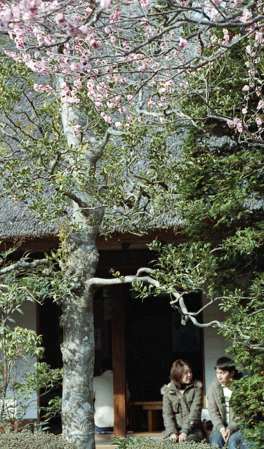 百草園でのひととき