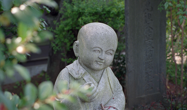 mz-l_2009_4_19-9