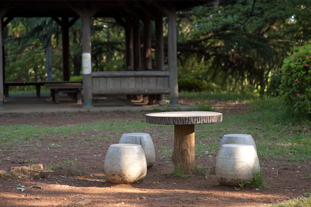 午後の公園