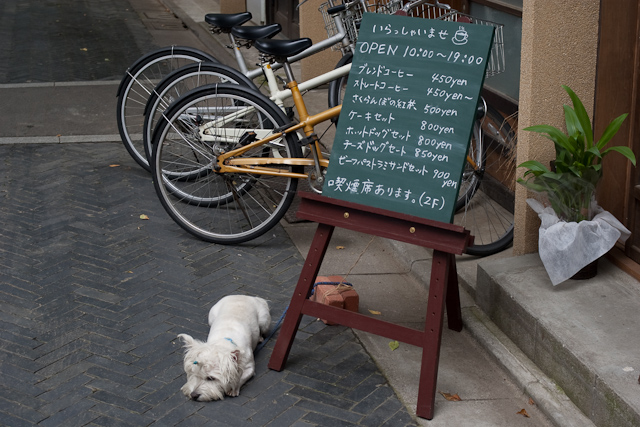 看板犬。