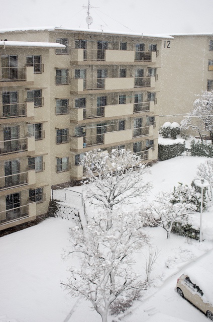 団地の雪
