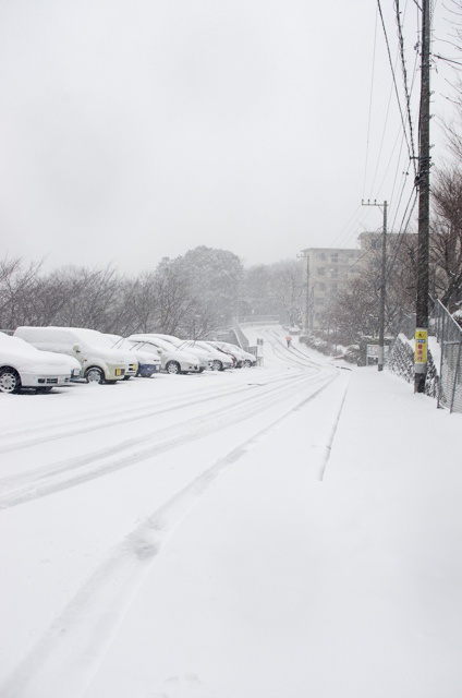 here comes the snow