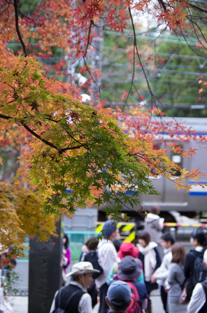 kamakura